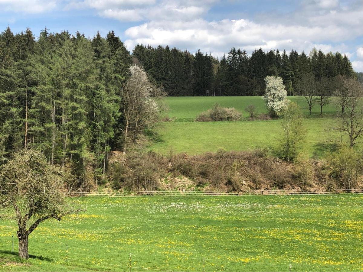 Am Rohrbacherhof Sabine Rück Apartamento Steinau an der Straße
